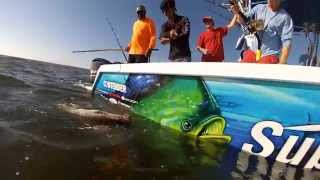 SUPREME FISHING TEAM AMBERJACK AND  RED SNAPPER