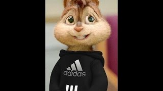 ВЛЮБЛЕННЫЙ БРОДЯГА-СИМПОТЯГА!!!Азнавур Пашаян - Влюбленный Бродяга
