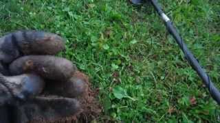 Two Days Of Metal Detecting And The New Digger Is Junk