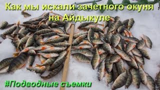 Как мы искали зачетного окуня на Айдыкуле