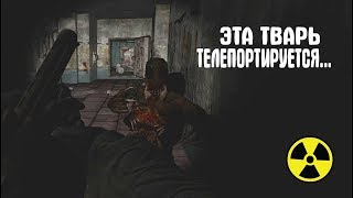 Это что за тварь? STALKER Road To The North #17