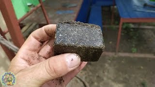 МАКУХА СВОИМИ РУКАМИ НА КАРПА, КАРАСЯ,ЛЕЩА И ТАРАНЬ. РЫБАЛКА. МАКУХА В ДЕЛЕ.