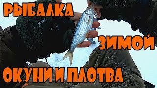 Рыбалка зимой на окуня и плотву. Зимняя рыбалка в подмосковье со льда!