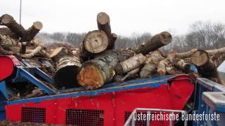 Производство ТОПЛИВНОЙ ЩЕПЫ /// Измельчение, транспортировка, складирование