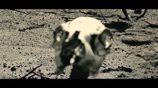 The Journey (International Youth Silent Film Festival)