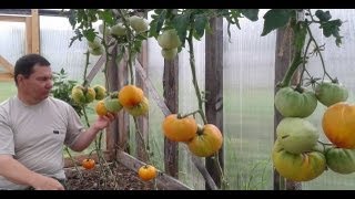 Золотая медаль