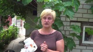 Мой Отзыв о Ферментационной Подстилке Скотный Двор для птицы