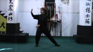 Yang Tai Chi - 8 form with T. Casagrande