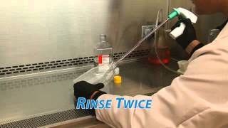 Chromatin Immunoprecipitation Visual Protocol: Phase1