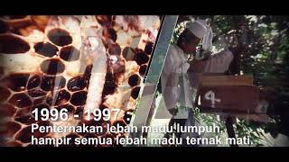 Inisiatif MY Bee Savior - Penyelamat Lebah Malaysia