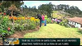 En cultivos de Santa Elena se abastecen los campesinos para elaborar silletas