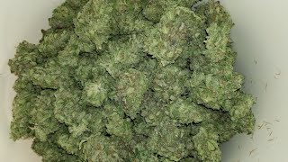 Final Weight's Of All Three SSxOGK Autos And IPower Bowl Trimmer Results