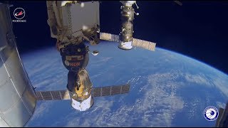 «У нашей Родины космическое будущее»: члены экипажа МКС поздравили Россию с Днём народного единства