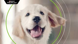 Корма Pro Plan (Про План) для щенков