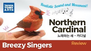Realistic Sound and Movement Northern Cardinal : 노래하는 새 - 카디널