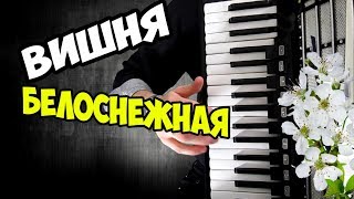 " Под окном широким "/ на Аккордеоне Вишня
