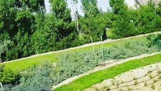 A day in Safari Park Dubai