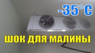 Камера хранения и шоковая заморозка для малины 4k
