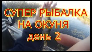 СУПЕР РЫБАЛКА НА ОКУНЯ В ОКТЯБРЕ. ДЕНЬ 2. Super fishing on a perch in October