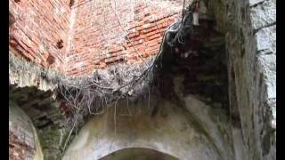 Костел святой Вероники и монастырь бернардинцев 1726 год