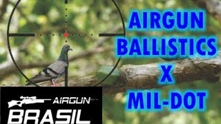Airgun Ballistics / Balística nas Carabinas de Ar