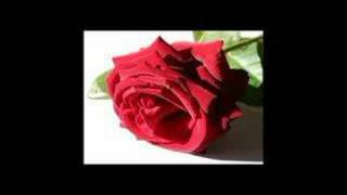Rosas ng Digma
