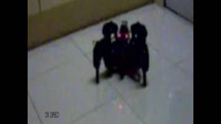 AXIS (T-hex type) QUADRUPED robot
