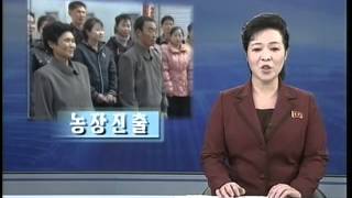 DPRK News - Новости КНДР (02.11.2012)