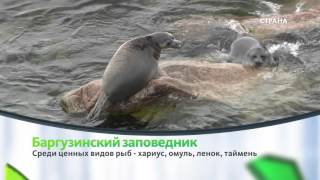 Баргузинский заповедник | Природа | Телеканал "Страна"
