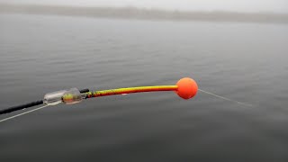 Карась в ТУМАНЕ  СЛАДКАЯ ПРИКОРМКА .FRENZY FISHER