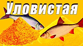 Зимняя прикормка своими руками. Простая и уловистая. Видео рецепт прикормки для плотвы.
