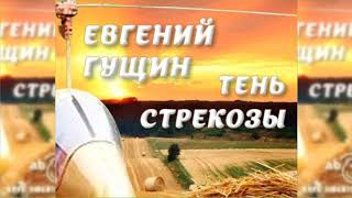 Тень стрекозы, Евгений Гущин радиоспектакль слушать