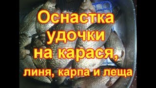 Оснастка удочки на карася, линя, карпа и леща