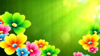 Футаж цветы и солнце для видеомонтажа скачать