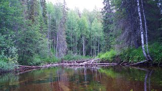 Сплав по рекам Ухтарка, Тобысь, Ухта.  Часть 1 (Ухтарка)