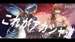 【グラブル】戦場と化したアーカーシャで青箱を取りたい【闇ソルジャー】