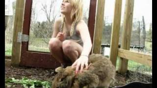 I have to pee! WITH BUNNIES!