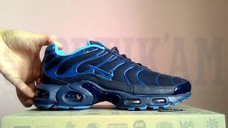 Кроссовки Nike Air Max Plus Tn 604134-408