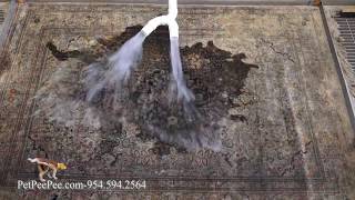 Saving Oriental rug from the dumpster