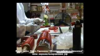 Карамель Караваева. Обучение. Фрагменты урока 7:" Сложные цветы".