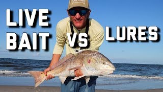 Surf Fishing |  Live bait VS Artificial bait