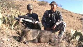 Arizona Javelina Hunting Junior Rifle Season 2011