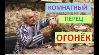 Как ПРОВЕРИТЬ ВСХОЖЕСТЬ СЕМЯН
