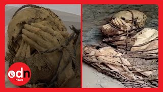 Mummy Found Tied Up with Hands Covering Face, Peru