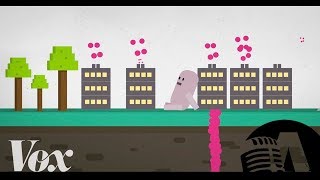 КАК ЧЕЛОВЕК НАРУШИЛ ЦИКЛ, НЕОБХОДИМЫЙ ДЛЯ ЖИЗНИ | RUS VOICE