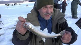 Я вижу Сахалин!!! или День Рождения на рыбалке (подледная рыбалка мыс Лазарев)