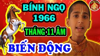 Tử Vi Tháng 11 Âm Lịch Tuổi Bính Ngọ 1966 May Mắn, Giàu Có Hay Biến Động Ra Sao?