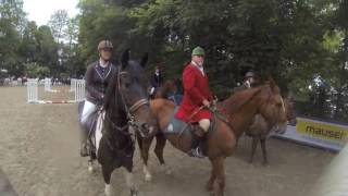 Pferdenacht in Wiesbaden 2017, Jagdschaubild