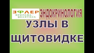 УЗЛЫ В ЩИТОВИДНОЙ ЖЕЛЕЗЕ. ВЛИЯНИЕ ПИЩИ НА ФОРМИРОВАНИЕ ИСКАЖЕНИЙ В КЛЕТКАХ. ТИРЕОИДИТ. ЙОД.