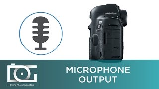 Canon 5D Mark IV: Does it Have Microphone Input? | Video Tutorial